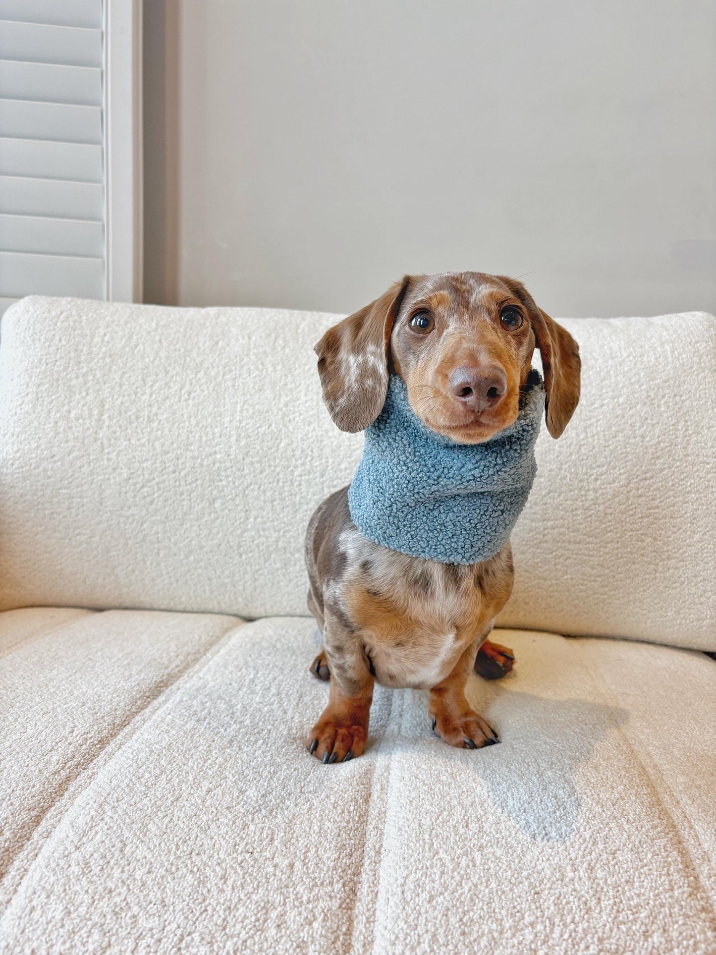 Handmade Teddy Sherpa Fleece Dog Snood – Personalised Option