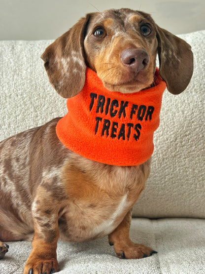 Halloween Dog Snood by Franklin & Stitch