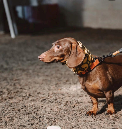 Handmade Duck Polar Fleece Dog Snood – Personalised Option