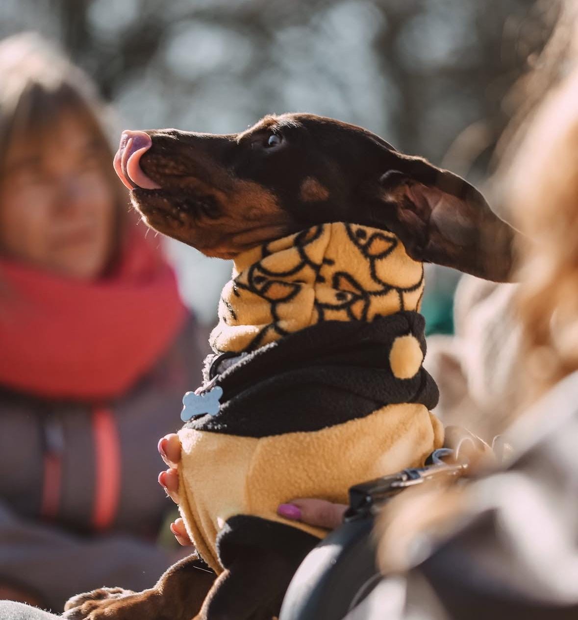 Handmade Duck Polar Fleece Dog Snood – Personalised Option