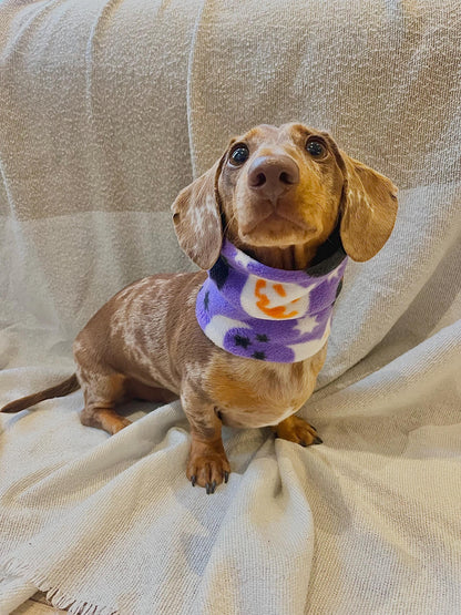 Handmade Halloween Polar Fleece Dog Snood – Personalised Option
