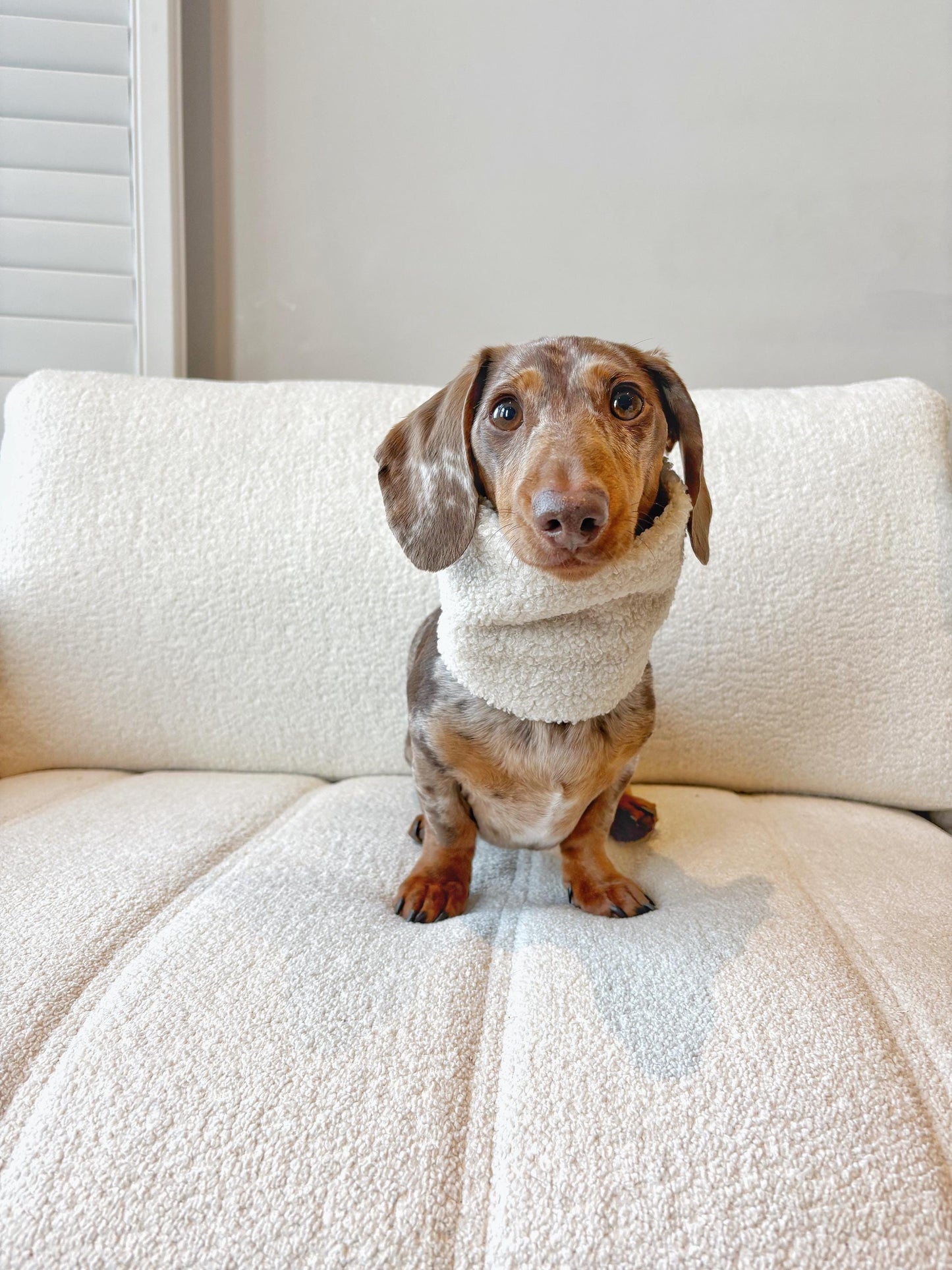Handmade Teddy Sherpa Fleece Dog Snood – Personalised Option