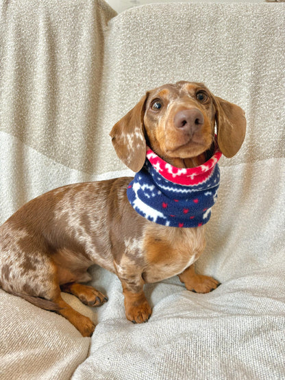 Handmade Christmas Polar Fleece Dog Snood – Personalised Option