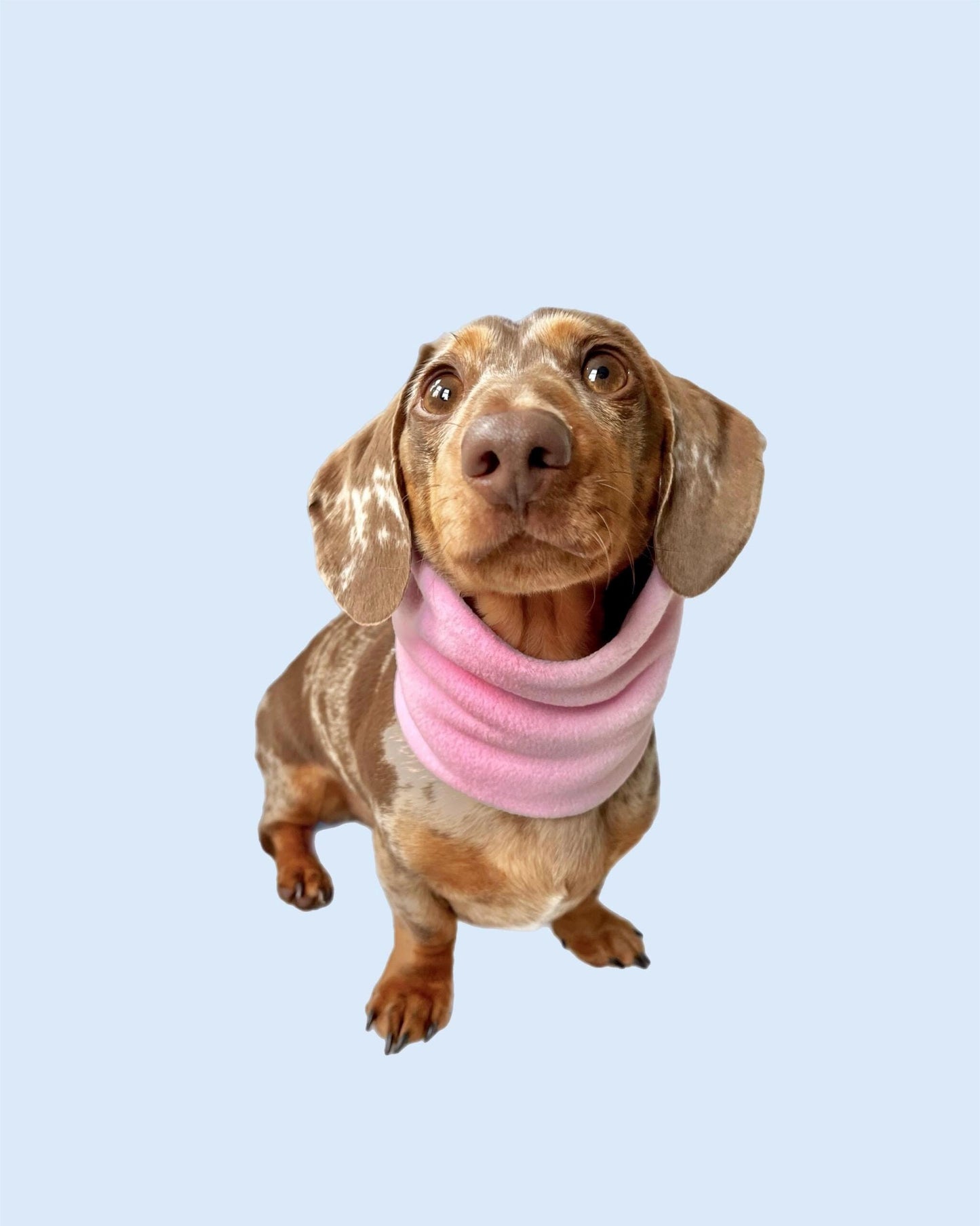Handmade Pastel Polar Fleece Dog Snood – Personalised Option