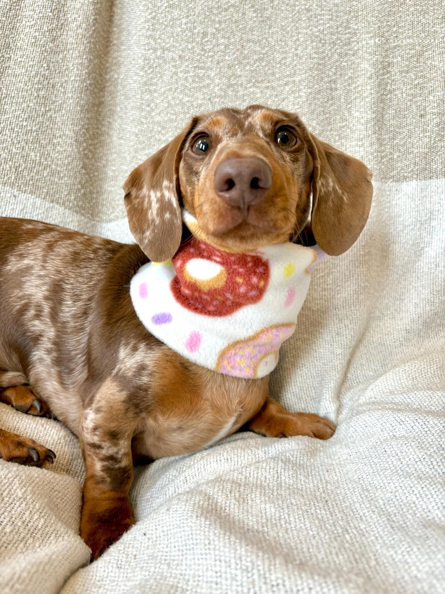 Handmade Doughnut Polar Fleece Dog Snood – Personalised Option