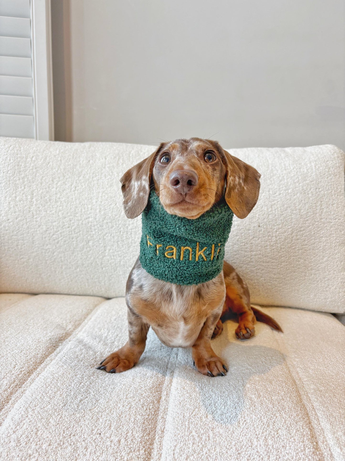 Handmade Teddy Sherpa Fleece Dog Snood – Personalised Option
