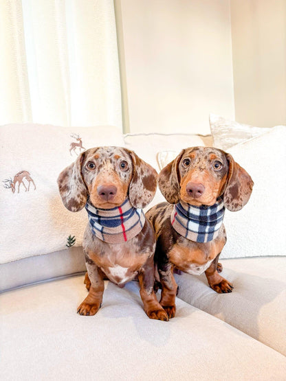 Handmade Tartan Polar Fleece Dog Snood – Personalised Option