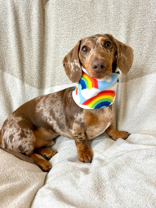 Handmade Rainbow Polar Fleece Dog Snood – Personalised Option