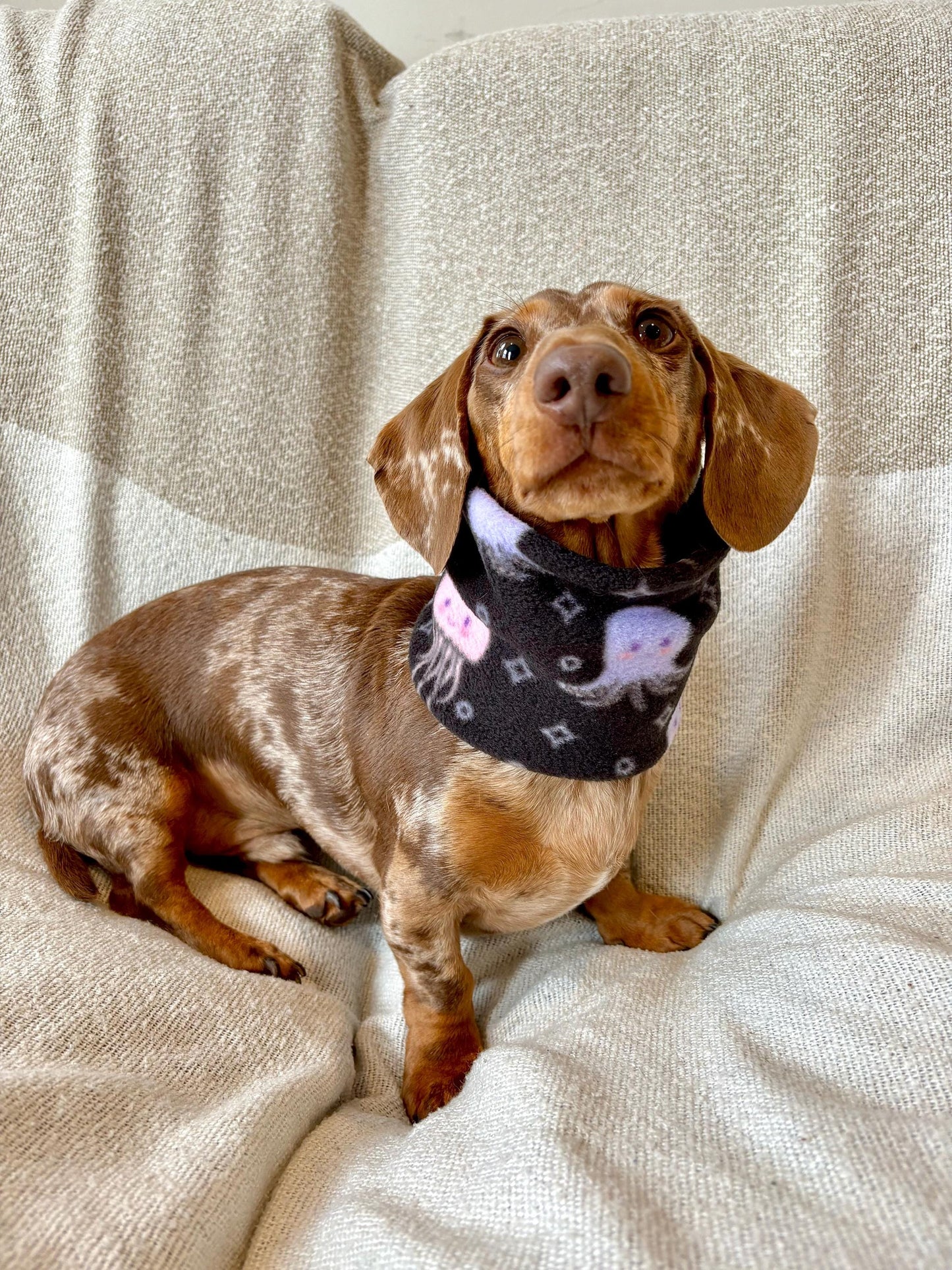 Handmade Jellyfish Polar Fleece Dog Snood – Personalised Option