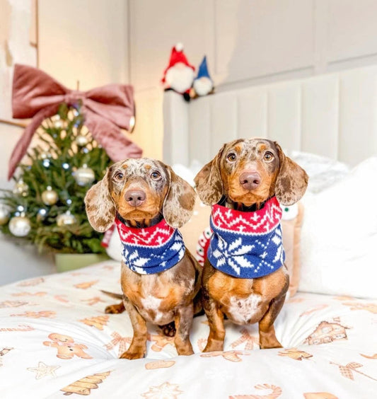 Handmade Christmas Polar Fleece Dog Snood – Personalised Option