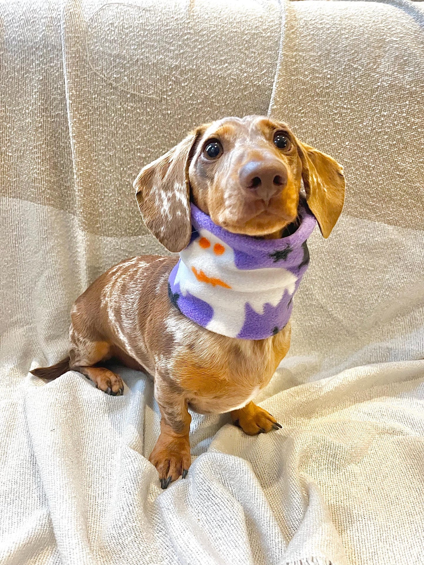 Handmade Halloween Polar Fleece Dog Snood – Personalised Option