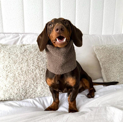 Handmade Teddy Sherpa Fleece Dog Snood – Personalised Option