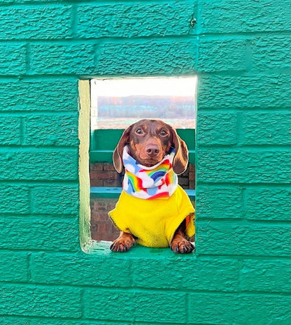 Handmade Rainbow Polar Fleece Dog Snood – Personalised Option