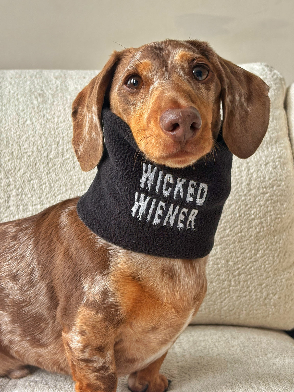 Halloween Dog Snood