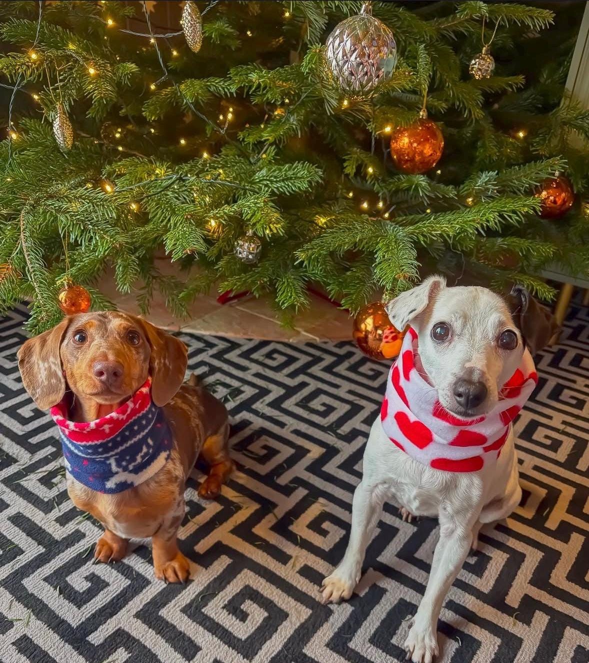 Handmade Christmas Polar Fleece Dog Snood – Personalised Option