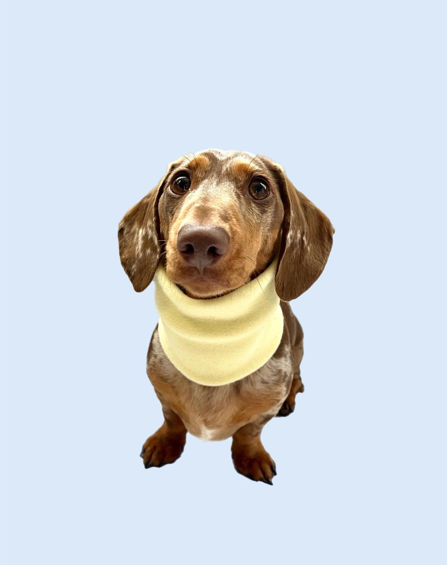 Handmade Pastel Polar Fleece Dog Snood – Personalised Option