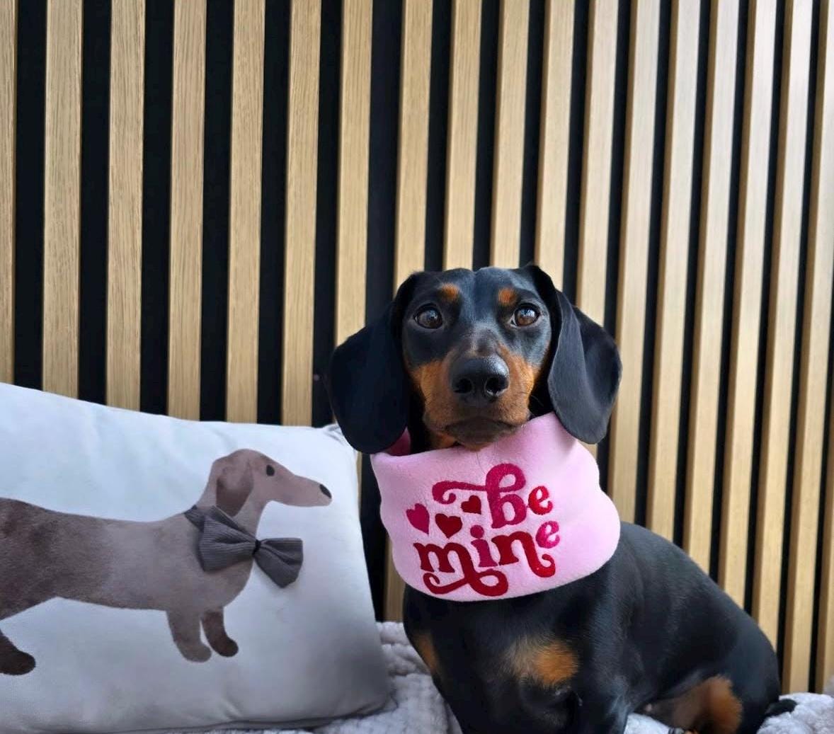Handmade Be Mine Polar Fleece Dog Snood – Personalised Option