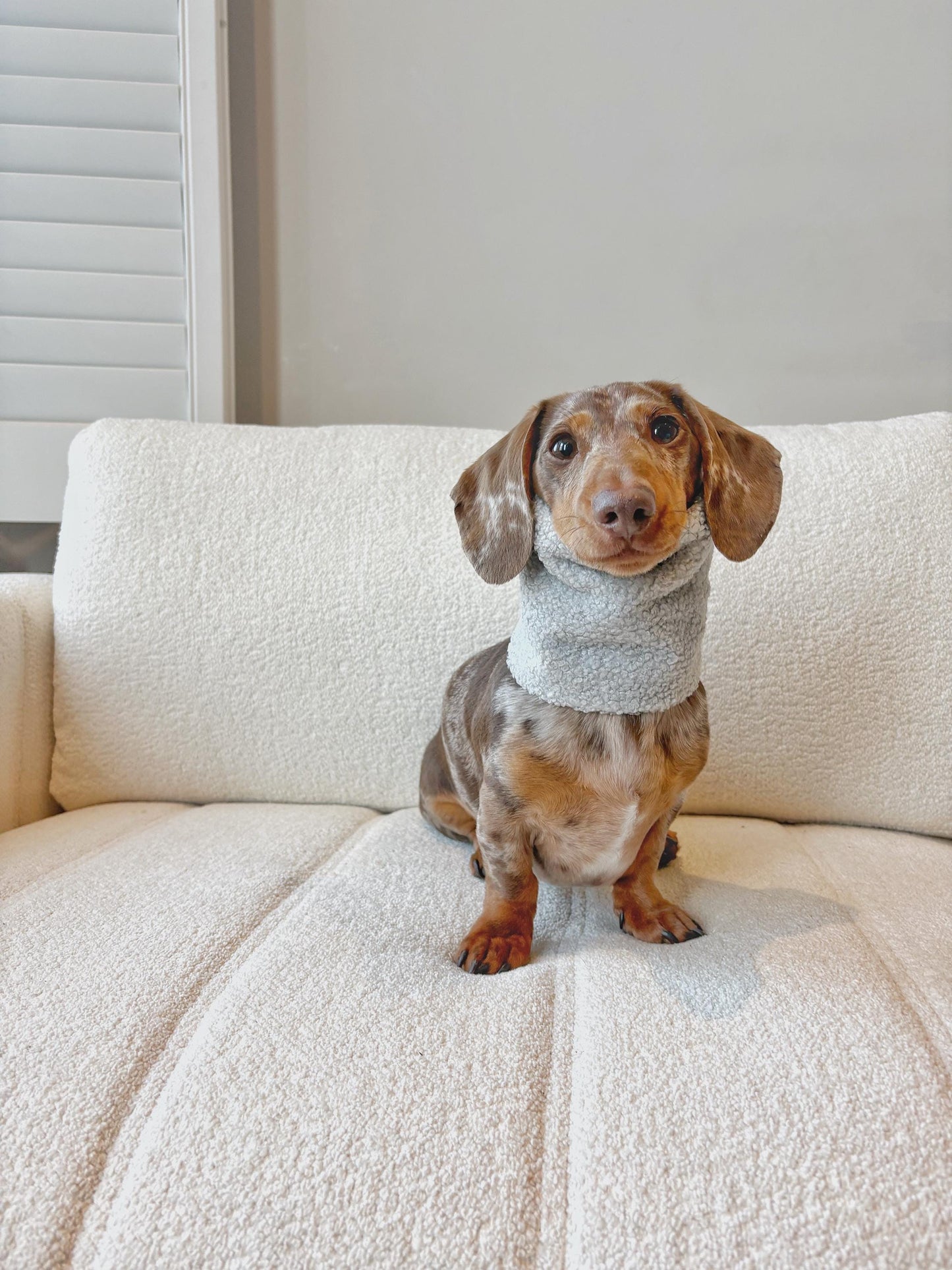 Handmade Teddy Sherpa Fleece Dog Snood – Personalised Option
