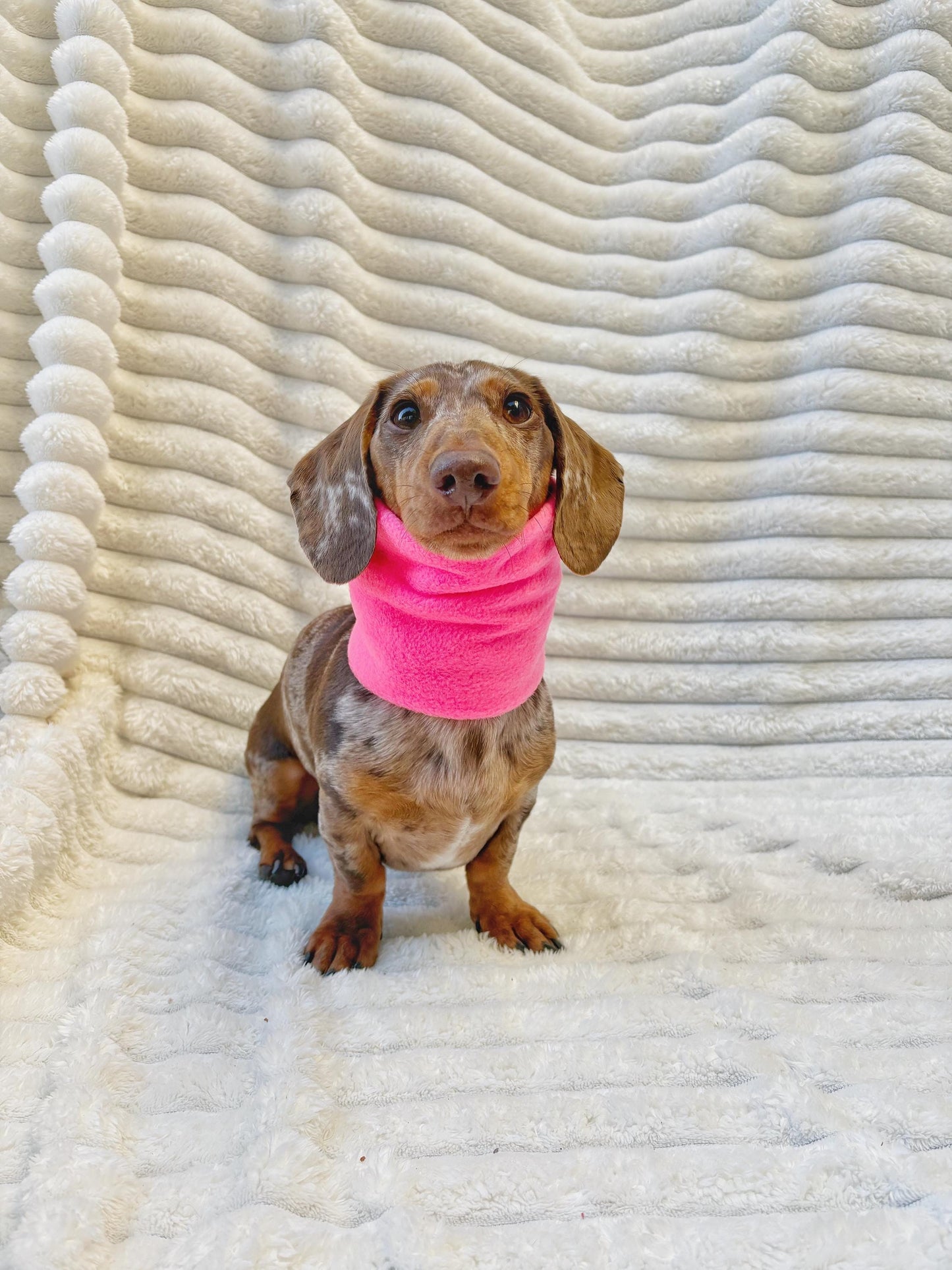 Handmade Neon Polar Fleece Dog Snood – Personalised Option