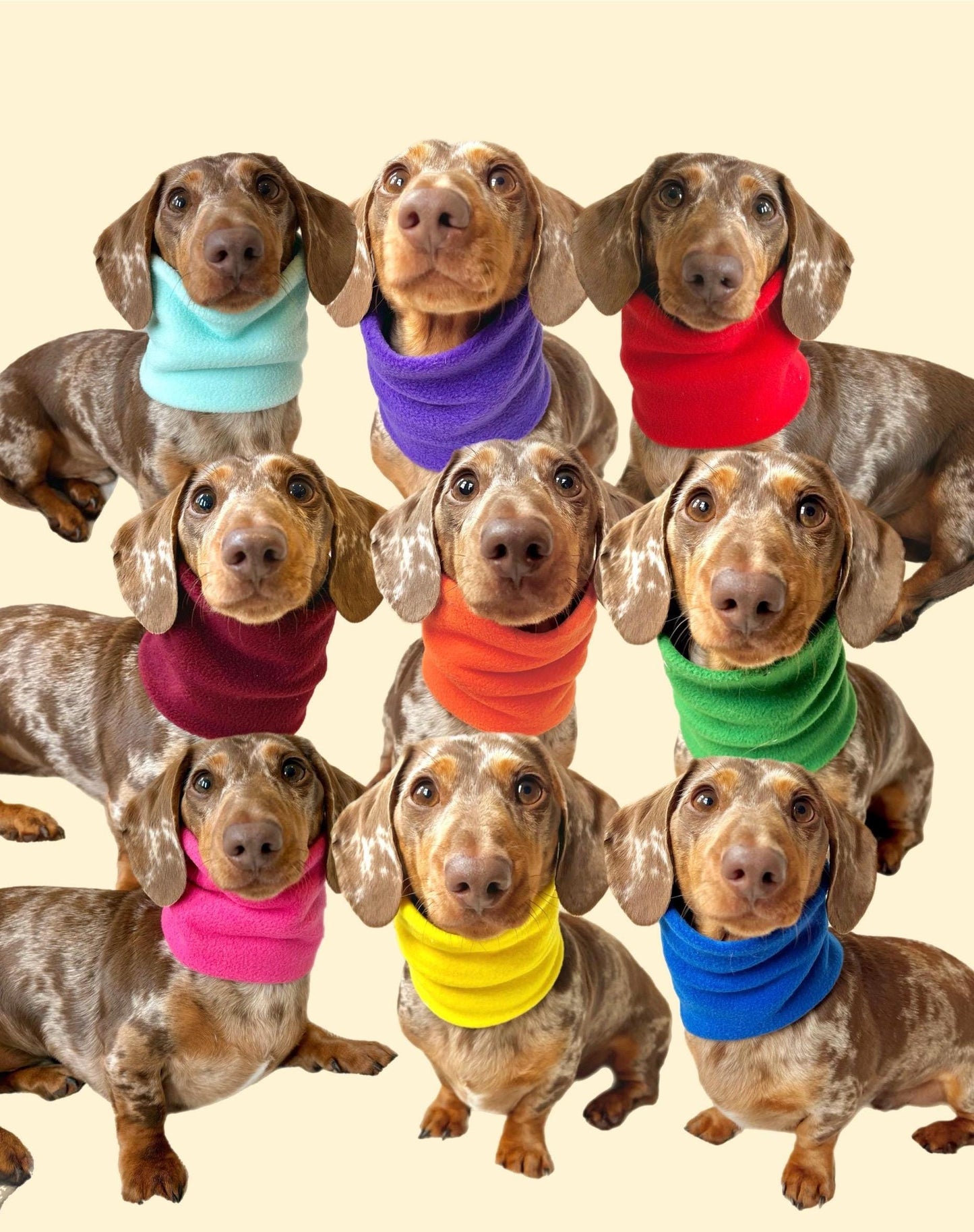 Handmade Single Colour Polar Fleece Dog Snood – Personalised Option