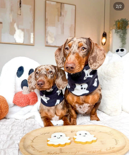 Handmade Ghost Polar Fleece Dog Snood – Personalised Option
