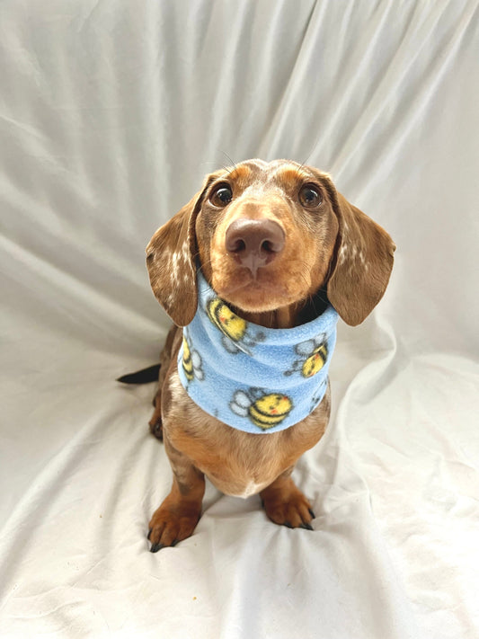 Handmade Bee Polar Fleece Dog Snood – Personalised Option