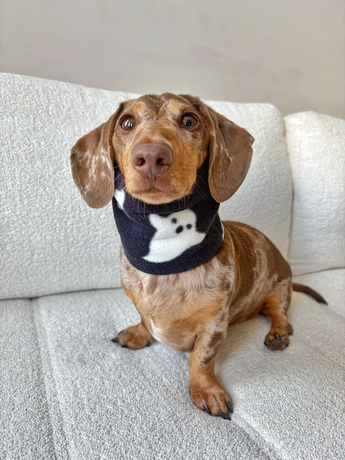 Halloween Dog Snood