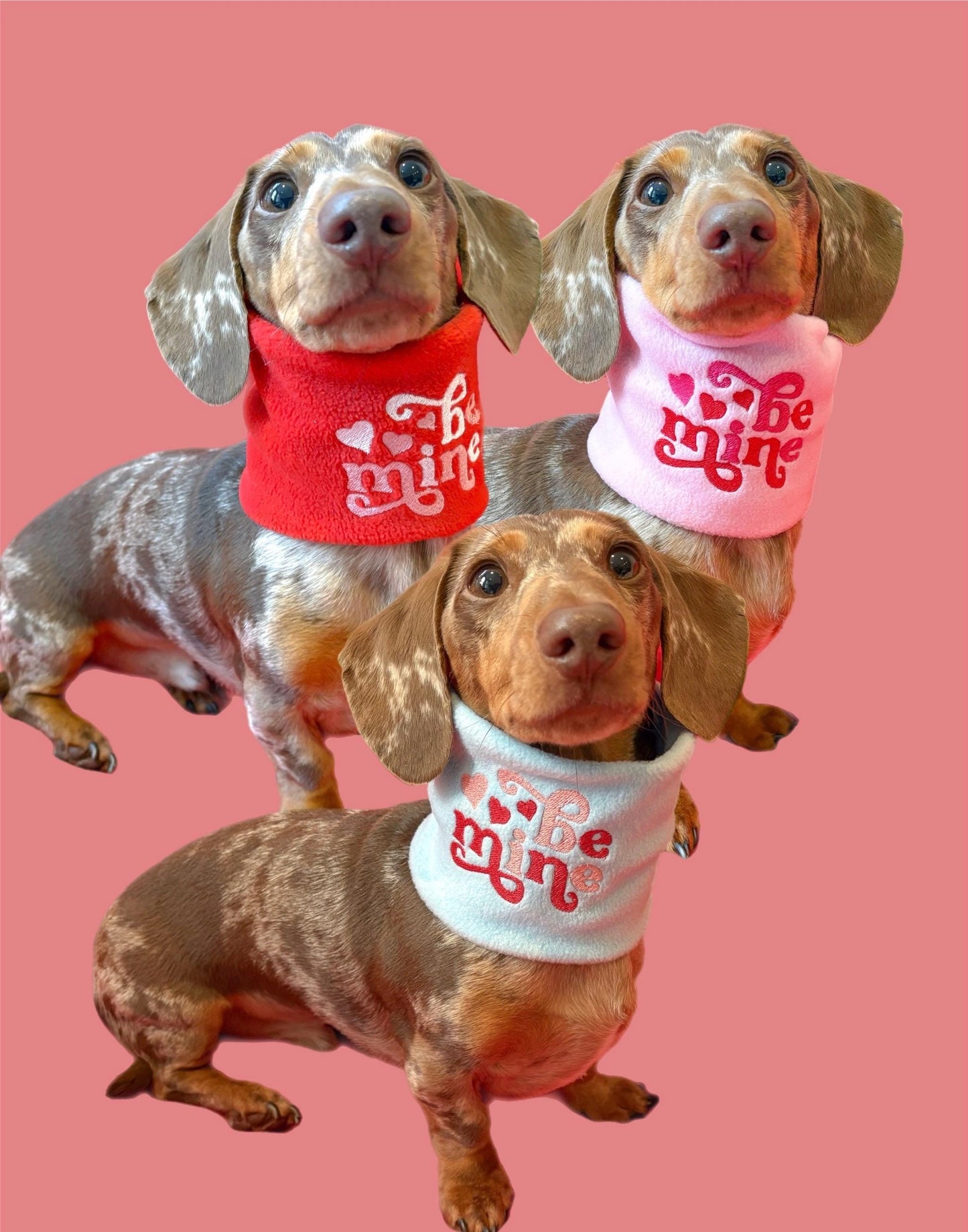 Handmade Be Mine Polar Fleece Dog Snood – Personalised Option