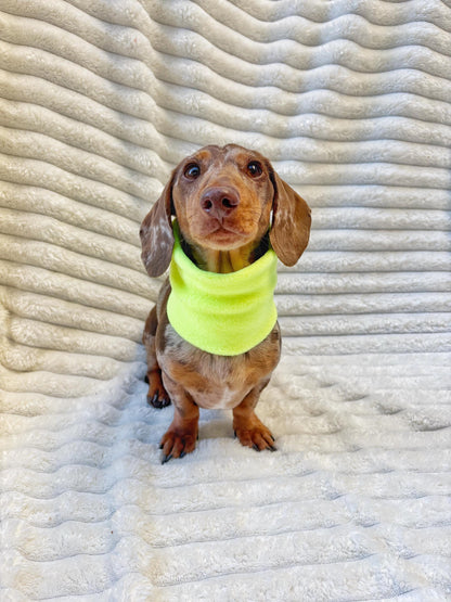 Handmade Neon Polar Fleece Dog Snood – Personalised Option