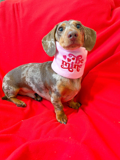 Handmade Be Mine Polar Fleece Dog Snood – Personalised Option