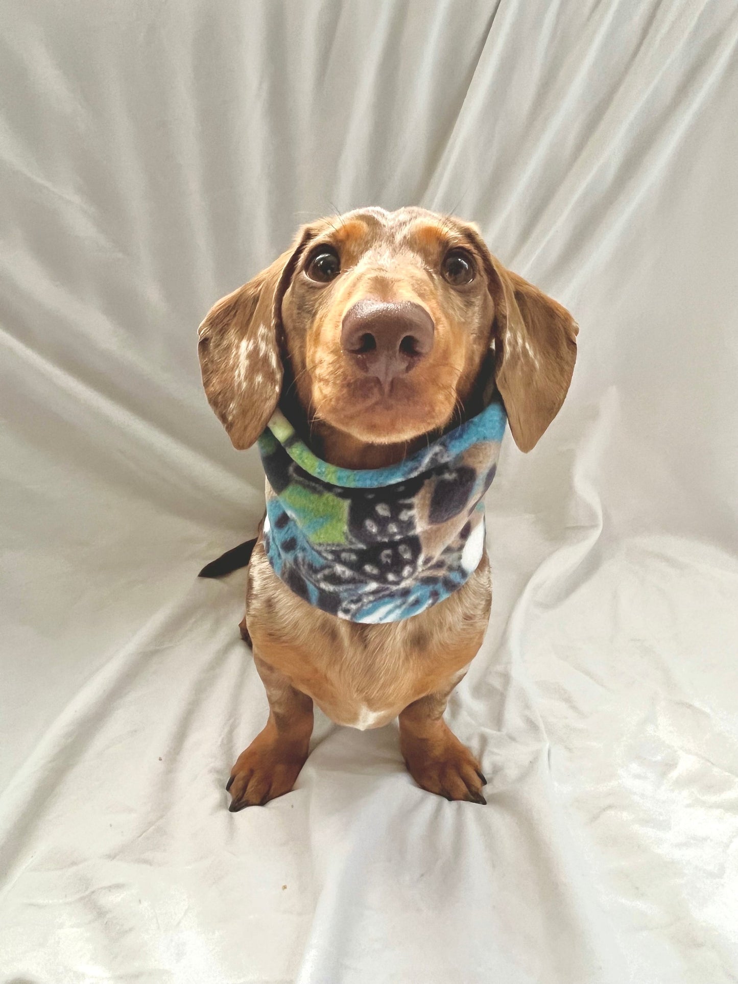 Handmade Jungle Polar Fleece Dog Snood – Personalised Option