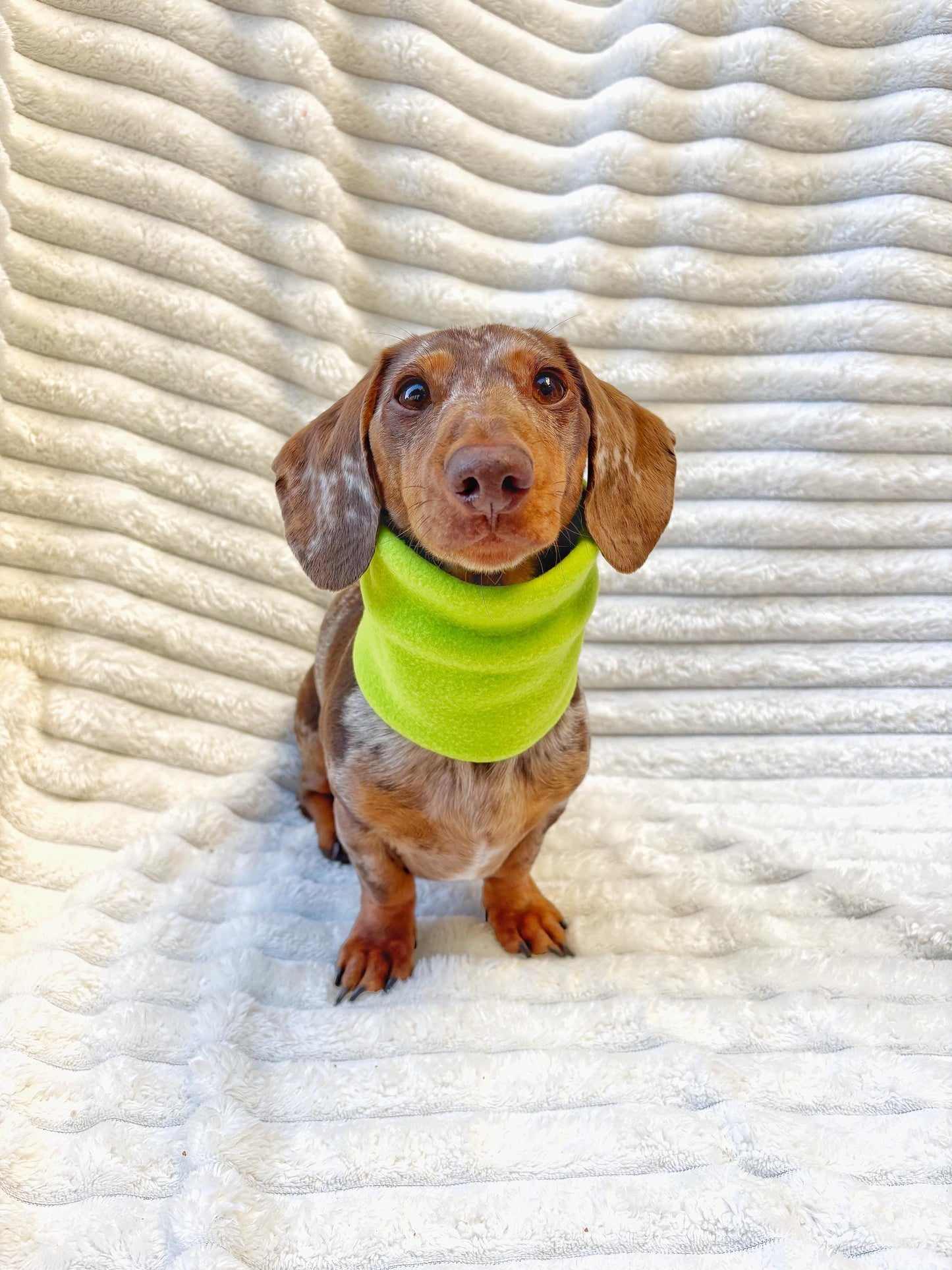 Handmade Neon Polar Fleece Dog Snood – Personalised Option