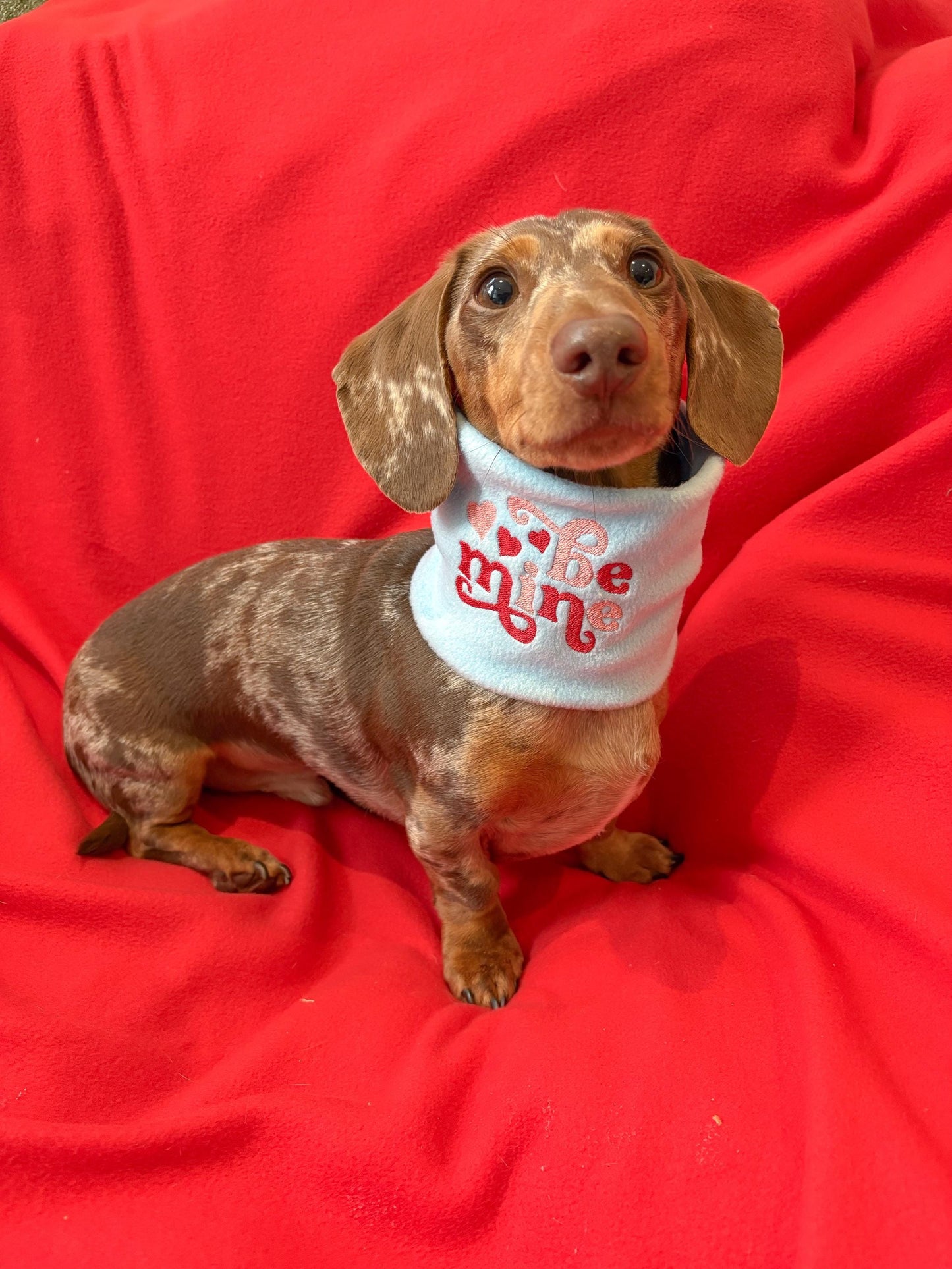 Handmade Be Mine Polar Fleece Dog Snood – Personalised Option