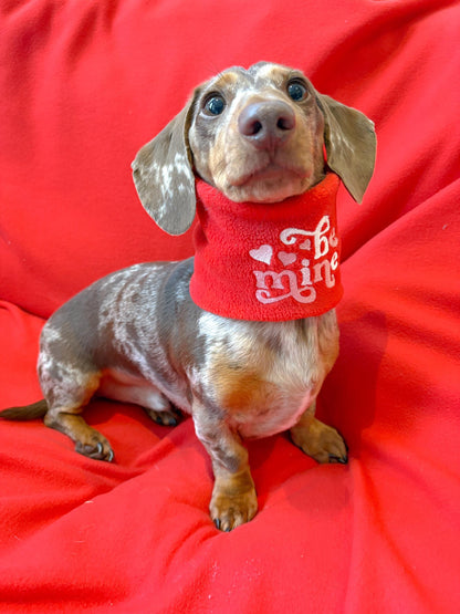 Handmade Be Mine Polar Fleece Dog Snood – Personalised Option