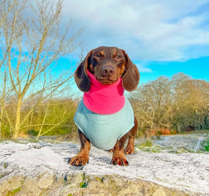 Handmade Neon Polar Fleece Dog Snood – Personalised Option