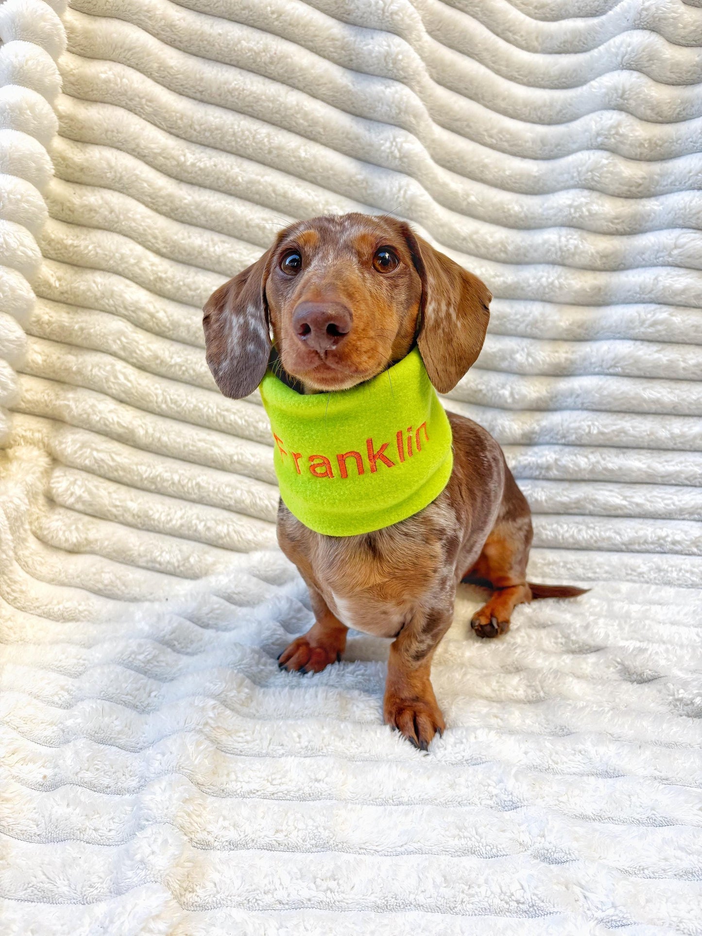 Handmade Neon Polar Fleece Dog Snood – Personalised Option