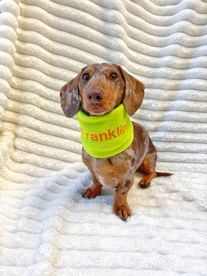 Handmade Neon Polar Fleece Dog Snood – Personalised Option