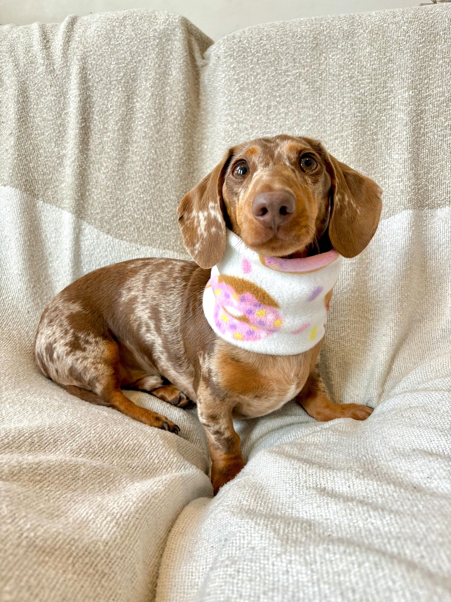 Handmade Doughnut Polar Fleece Dog Snood – Personalised Option