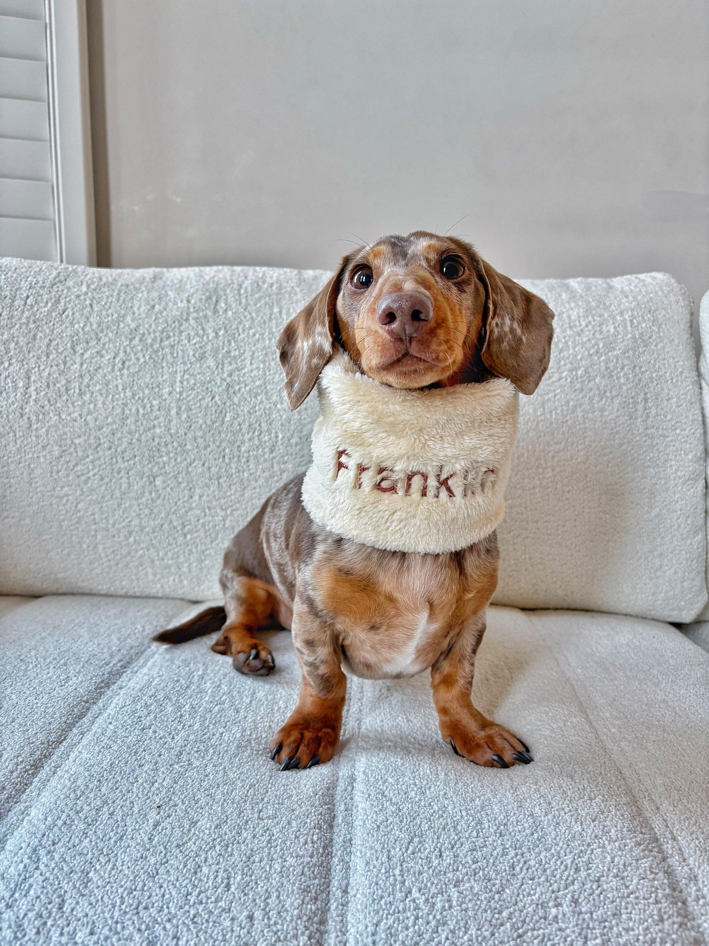 Handmade Faux Fur Polar Fleece Dog Snood – Personalised Option